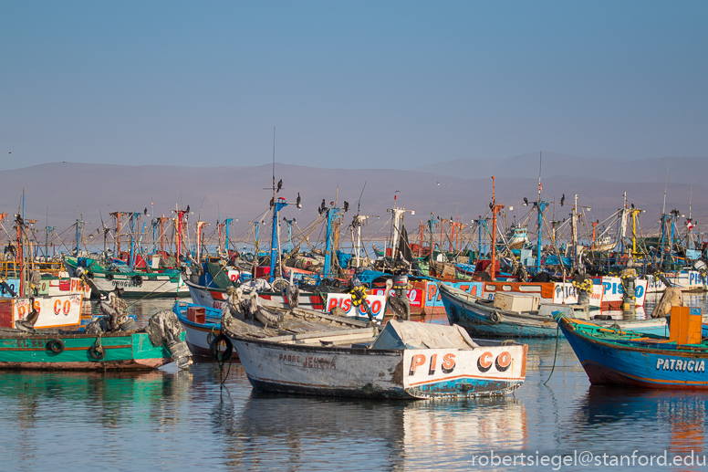 paracas